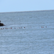Aquathlon dos Guarda-vidas do Cassino