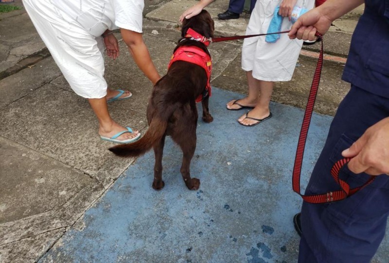 Interação com cães do CBMRS auxilia no tratamento de pacientes do HUSM