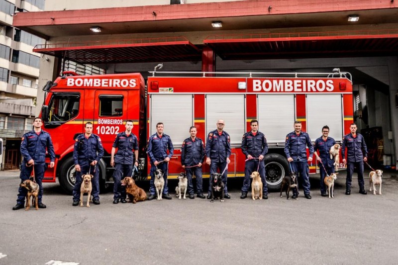 Calendário dos BOMBEIROS 🔥🚒