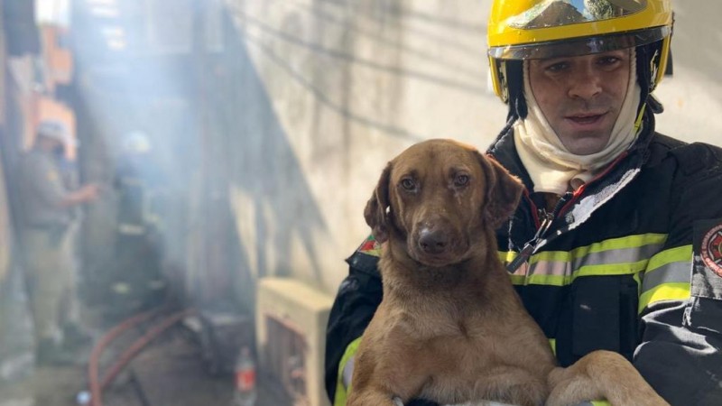 Bombeiro Militar realiza resgate em sua folga, em Porto Alegre.