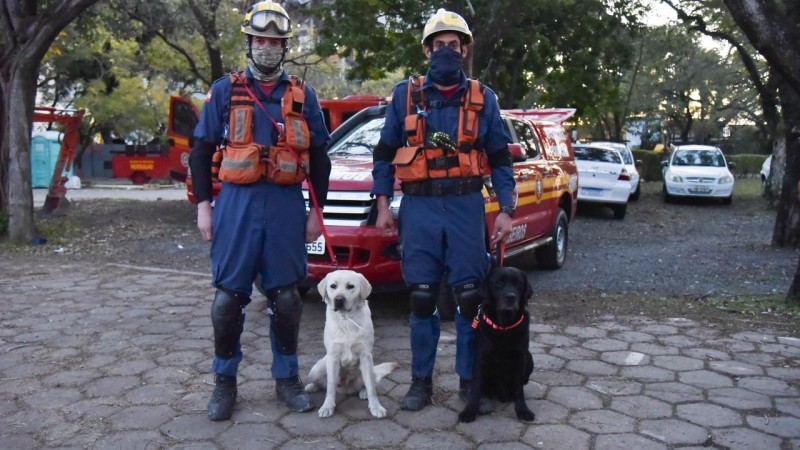 A dupla de bombeiros militares e cães de guarda chegaram hoje em Porto Alegre