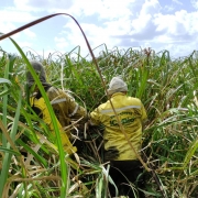 Condições do terreno dificultavam o combate