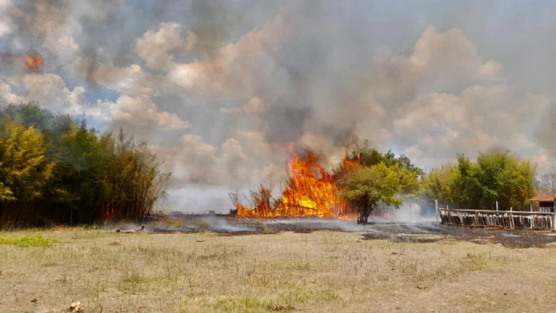 Incêndio em vegetação é controlado pelo CBMRS em Santana do Livramento