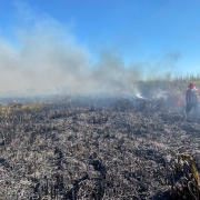 CBMRS atua há mais de 90 horas em combate a incêndio em vegetação em São Borja
