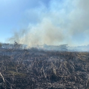 CBMRS atua há mais de 90 horas em combate a incêndio em vegetação em São Borja
