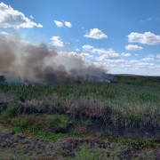 CBMRS atua há mais de 90 horas em combate a incêndio em vegetação em São Borja

