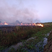 CBMRS atua há mais de 90 horas em combate a incêndio em vegetação em São Borja
