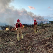 CBMRS atua há mais de 90 horas em combate a incêndio em vegetação em São Borja
