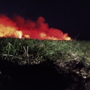 CBMRS atua há mais de 90 horas em combate a incêndio em vegetação em São Borja
