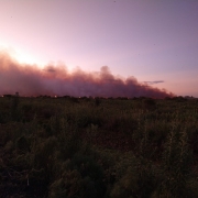CBMRS atua há mais de 90 horas em combate a incêndio em vegetação em São Borja
