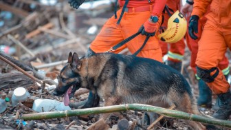 CBMRS atua com apoio de outros Corpos de Bombeiros Militares do país
