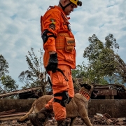 CBMRS atua com apoio de outros Corpos de Bombeiros Militares do país
