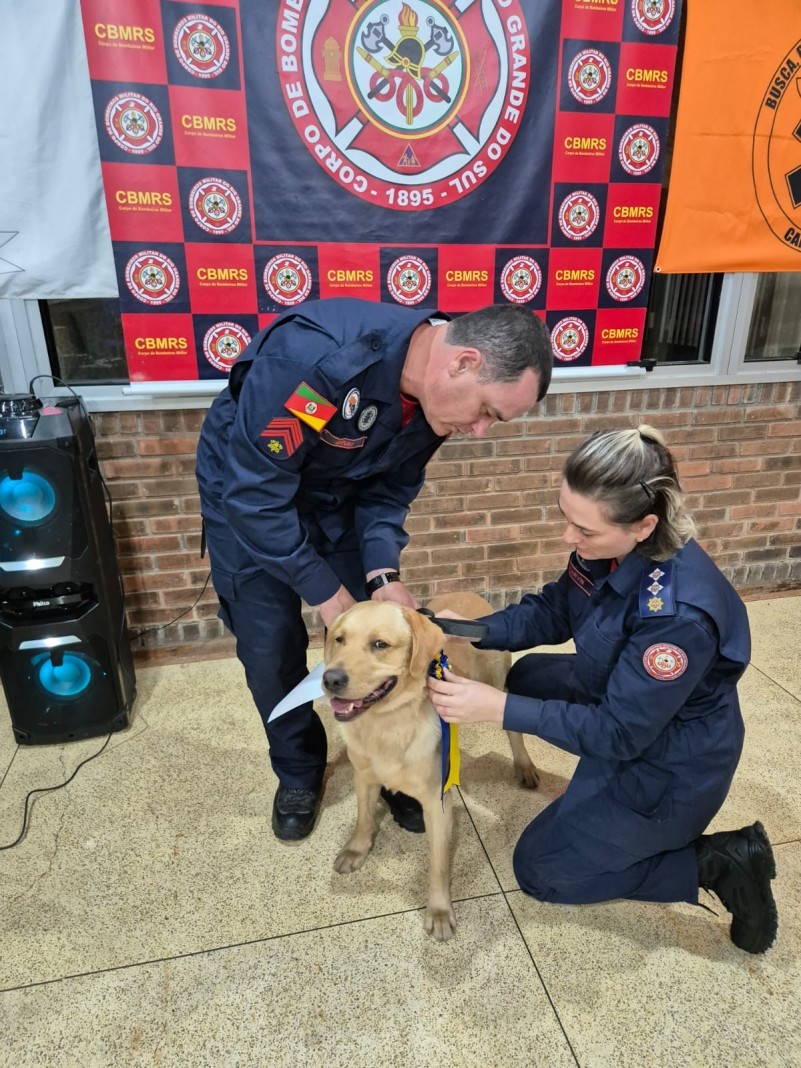 Major Karyn Savegnago certifica o cão Sheik para Sheik busca por restos mortais
