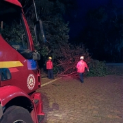 Desobstrução de via
