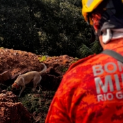 CBMRS participa do maior exerc&iacute;cio simulado de resposta a desastres j&aacute; realizado no Estado